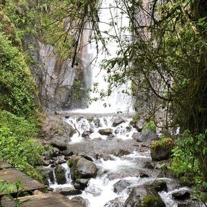 Meet your Posher, Luz